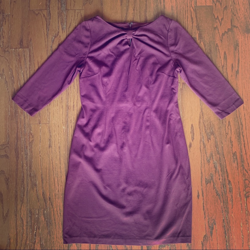 Plum Dress